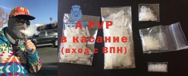 ПСИЛОЦИБИНОВЫЕ ГРИБЫ Арсеньев