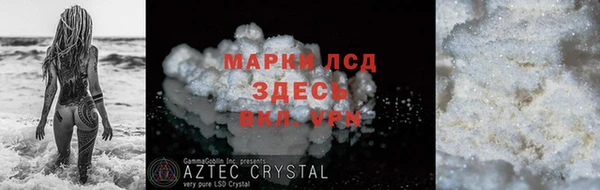 ПСИЛОЦИБИНОВЫЕ ГРИБЫ Арсеньев