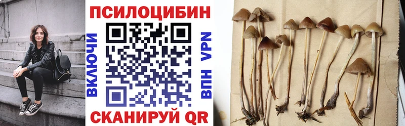 Галлюциногенные грибы Magic Shrooms Малгобек